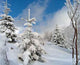 Sparkling Snow 2 Wall Decal