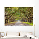Savannah Georgia Usa Historic Wall Decal