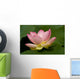Lotus Flower
