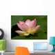 Lotus Flower