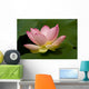 Lotus Flower