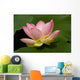 Lotus Flower