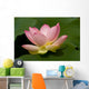 Lotus Flower