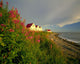 Cottages On St Lawrence River, Petit Vallee, Gaspesie, Quebec Wall Mural