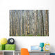 Trees In Banff, Alberta Wall Mural