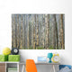 Trees In Banff, Alberta Wall Mural