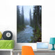Fog Over The Emerald River, Yoho National Park, British Columbia Wall Mural