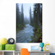 Fog Over The Emerald River, Yoho National Park, British Columbia Wall Mural