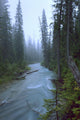Fog Over The Emerald River, Yoho National Park, British Columbia Wall Mural