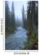 Fog Over The Emerald River, Yoho National Park, British Columbia Wall Mural