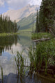 Reflections On Beaver Lake, Jasper National Park, Alberta Wall Mural