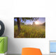 Sunrise On A Dew Covered Grassy Hill, North Of Edmonton, Alberta Wall Mural