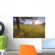 Sunrise On A Dew Covered Grassy Hill, North Of Edmonton, Alberta Wall Mural