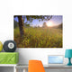Sunrise On A Dew Covered Grassy Hill, North Of Edmonton, Alberta Wall Mural