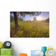 Sunrise On A Dew Covered Grassy Hill, North Of Edmonton, Alberta Wall Mural