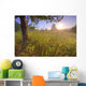 Sunrise On A Dew Covered Grassy Hill, North Of Edmonton, Alberta Wall Mural