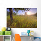 Sunrise On A Dew Covered Grassy Hill, North Of Edmonton, Alberta Wall Mural