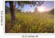 Sunrise On A Dew Covered Grassy Hill, North Of Edmonton, Alberta Wall Mural