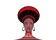 Tribal Headdress Zulu Female Wall Decal