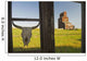 Cow Skull Hanging From An Old Window Frame Wall Mural