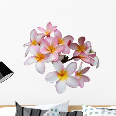 Frangipani Plumeria Flower Wall Decal shown on a wall