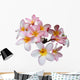 Frangipani Plumeria Flower Wall Decal