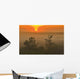 Sunrise Over The Great Sandhills, Near Sceptre, Saskatchewan Wall Mural