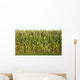 Corn Wall Mural