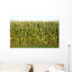 Corn Wall Mural