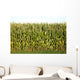 Corn Wall Mural