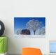 Old Red Barn In Winter, Near Oakbank, Manitoba Wall Mural