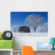 Old Red Barn In Winter, Near Oakbank, Manitoba Wall Mural