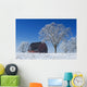 Old Red Barn In Winter, Near Oakbank, Manitoba Wall Mural