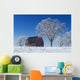 Old Red Barn In Winter, Near Oakbank, Manitoba Wall Mural