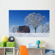 Old Red Barn In Winter, Near Oakbank, Manitoba Wall Mural