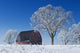 Old Red Barn In Winter, Near Oakbank, Manitoba Wall Mural