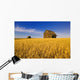 Saskatchewan Wall Mural