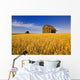 Saskatchewan Wall Mural
