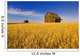 Saskatchewan Wall Mural