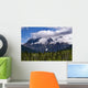 Clouds Around Mountains, Robson Provincial Park, British Columbia Wall Mural