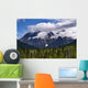 Clouds Around Mountains, Robson Provincial Park, British Columbia Wall Mural