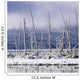 Fresh Snowfall And Bare Trees On The Vermillion Lakes Wall Mural