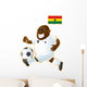 Football Mascot Ghana