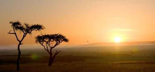 Tramonto Con Alberi Di Wall Decal