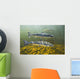 Atlantic Salmon Adults Migrate Upstream Wall Mural