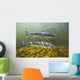 Atlantic Salmon Adults Migrate Upstream Wall Mural