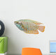 Dwarf Gourami fish Wall Decal
