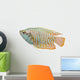 Dwarf Gourami fish Wall Decal