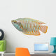 Dwarf Gourami fish Wall Decal