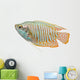 Dwarf Gourami fish Wall Decal